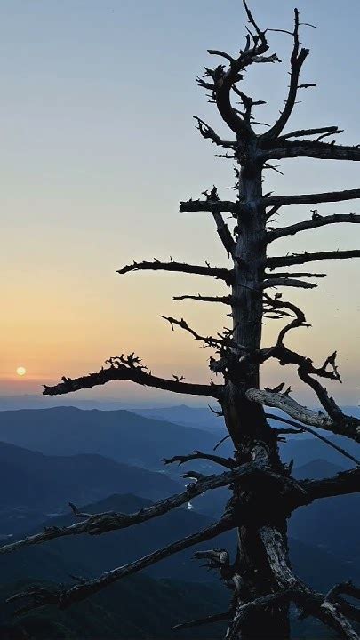 知者樂水，仁者樂山